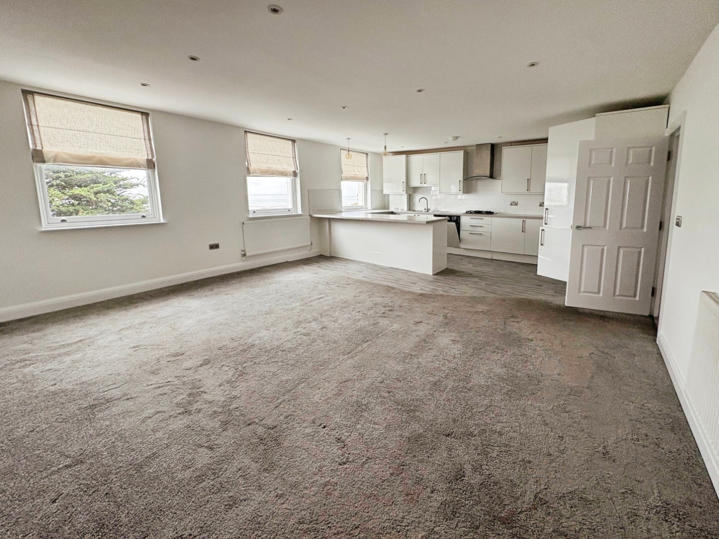 Lounge/Kitchen